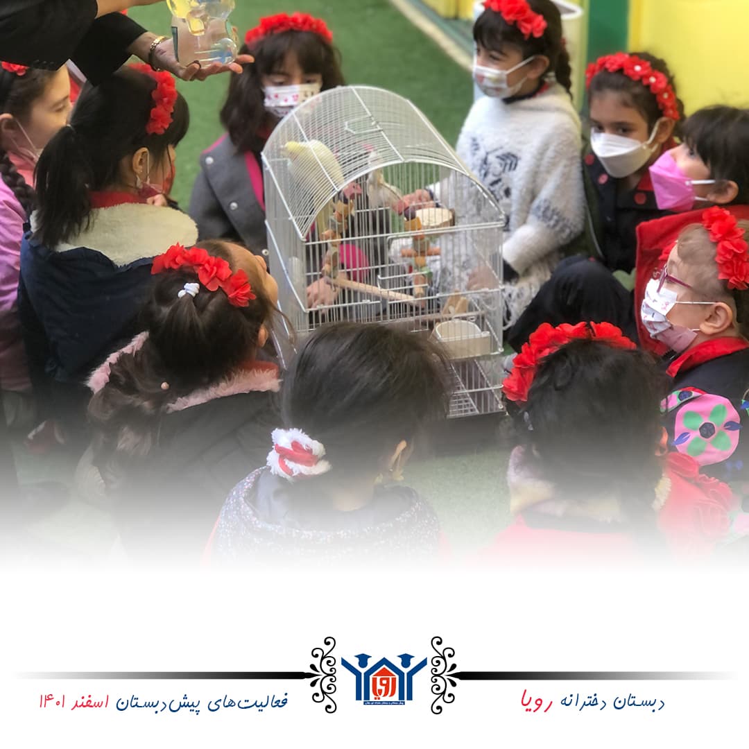 فعالیت های اسفندماه پیش دبستان